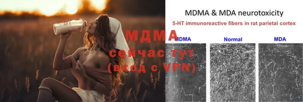 скорость Вяземский