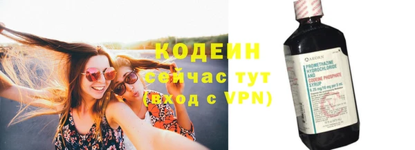 скорость Вяземский