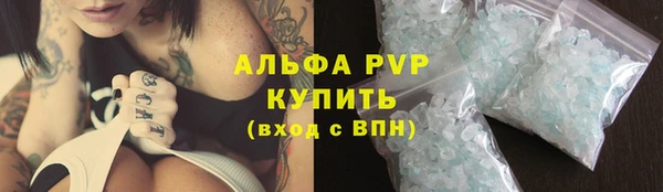 скорость Вяземский