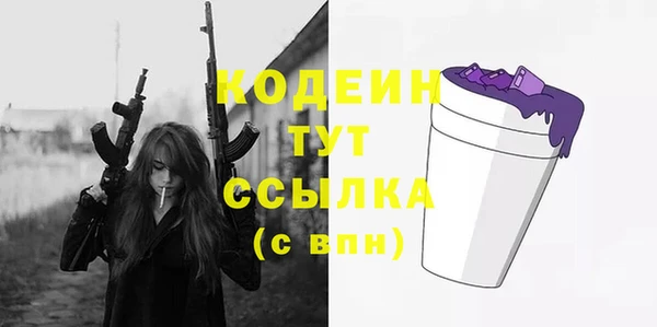 скорость Вяземский