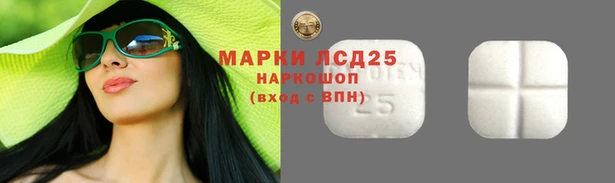 скорость Вяземский