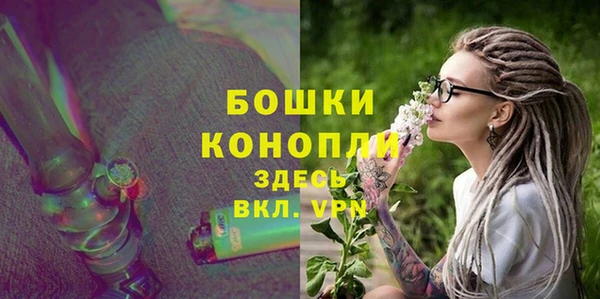 скорость Вяземский