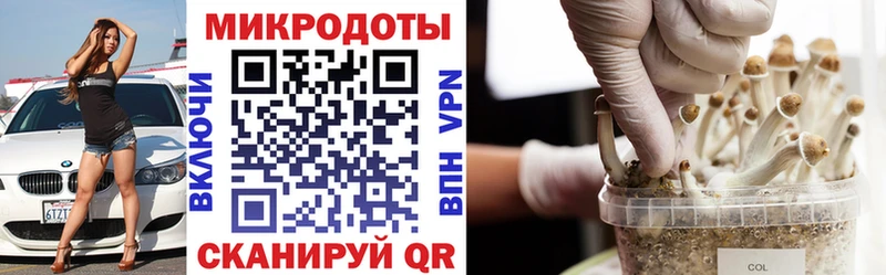наркота  гидра tor  Галлюциногенные грибы ЛСД  Димитровград 